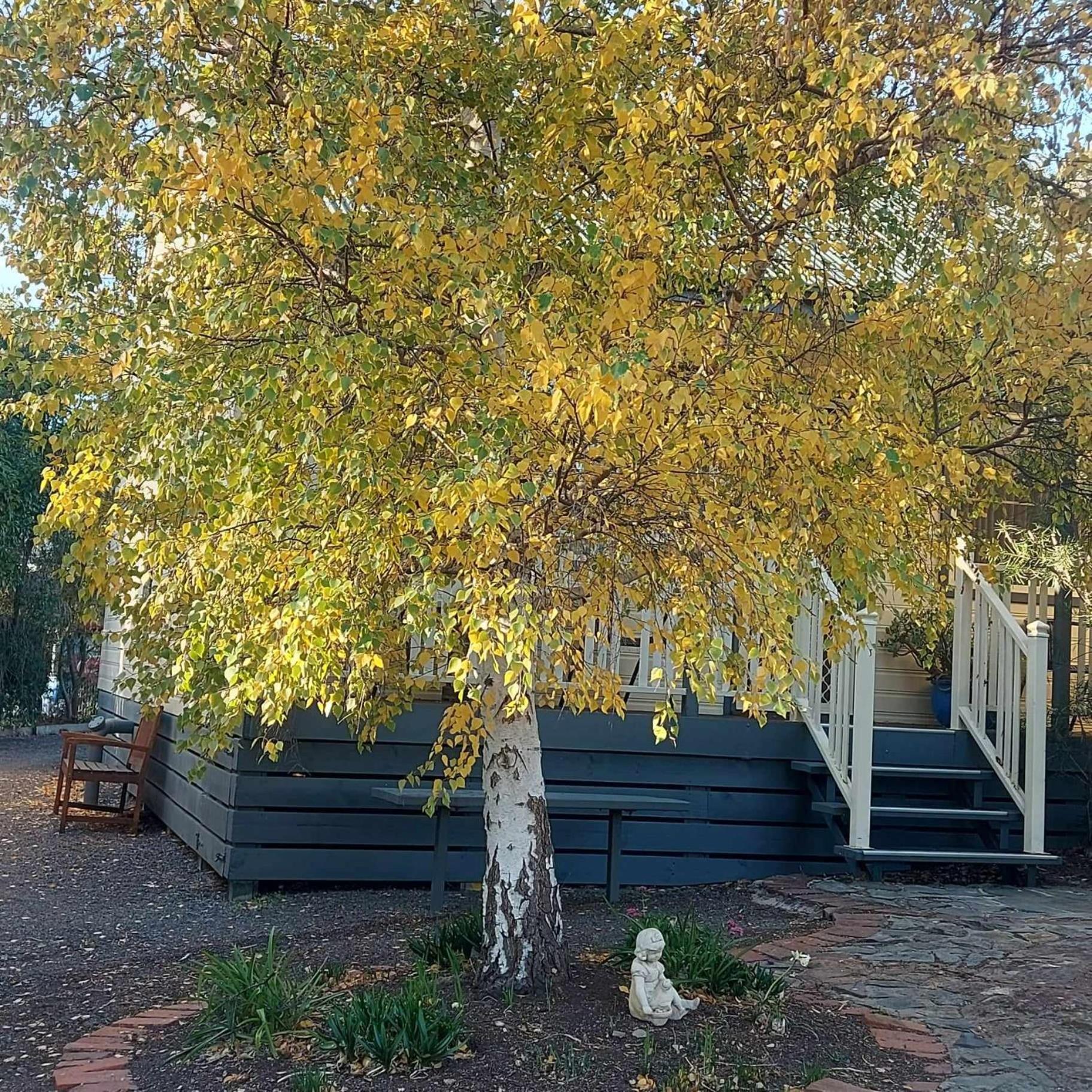 Avoca Cottages Victoria Eksteriør bilde